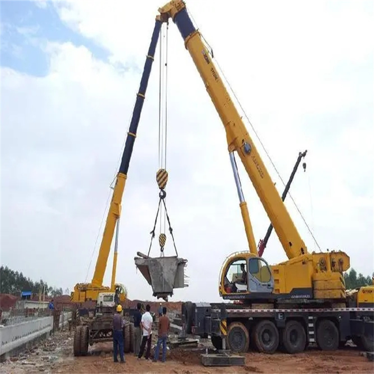 大路镇小型吊机出租电话|厂房设备吊装方案|24小时服务覆盖